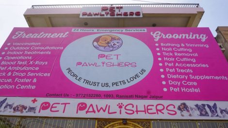 Country’s first Pet Pawlishers Multispecialty Dog and Cat Hospital in Jaipur
